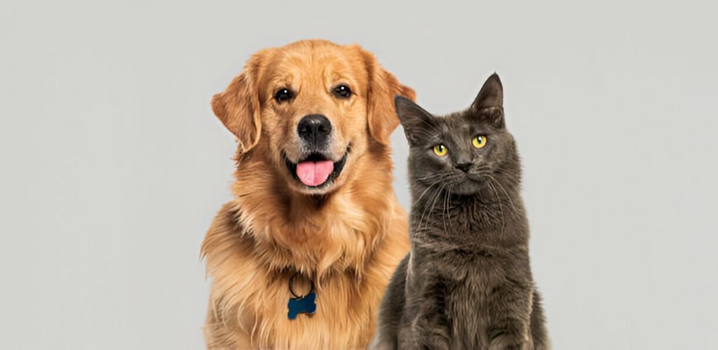NORMAL-iStockPhoto-1925414052 NORMAL-iStockPhoto-1925414052